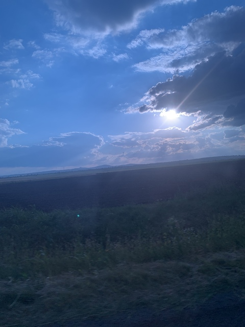 sugarsalt @sugarsalt cover picture