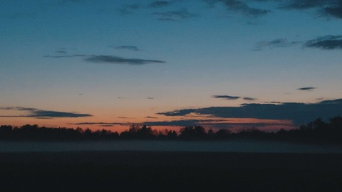 Sylvia @sunflowerbabygirl cover picture