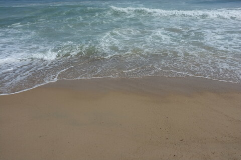 Sunny Libra @sunnylibra cover picture