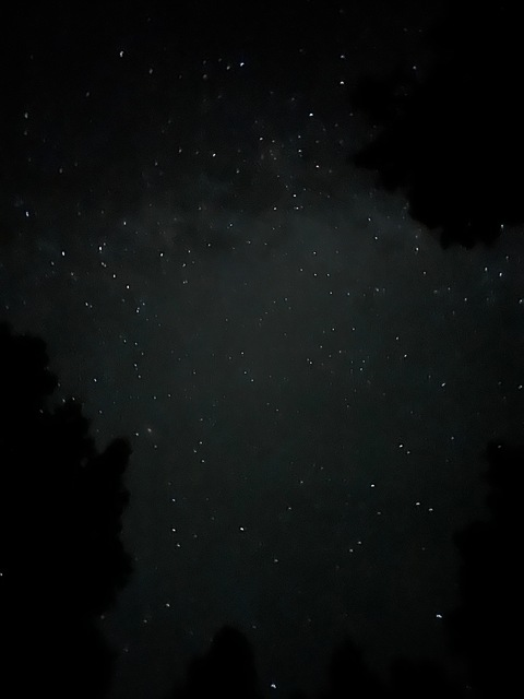 R 🦋 @suomipupu cover picture