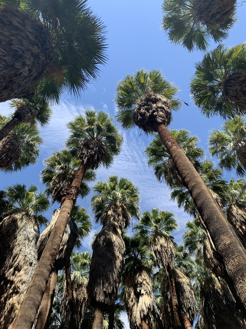 Cameron &amp; Alex @supremeandred cover picture