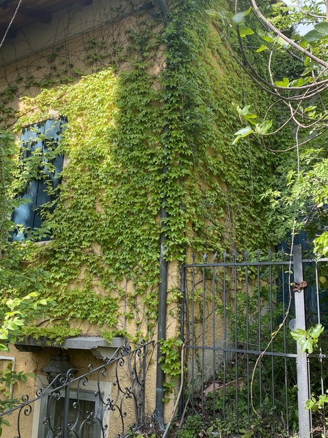 casey🤍 @sweetcassie20 cover picture