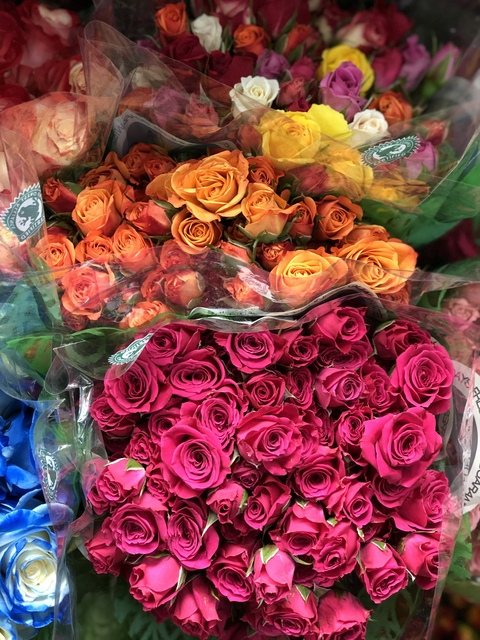 BeeNola @sweethoneybee cover picture