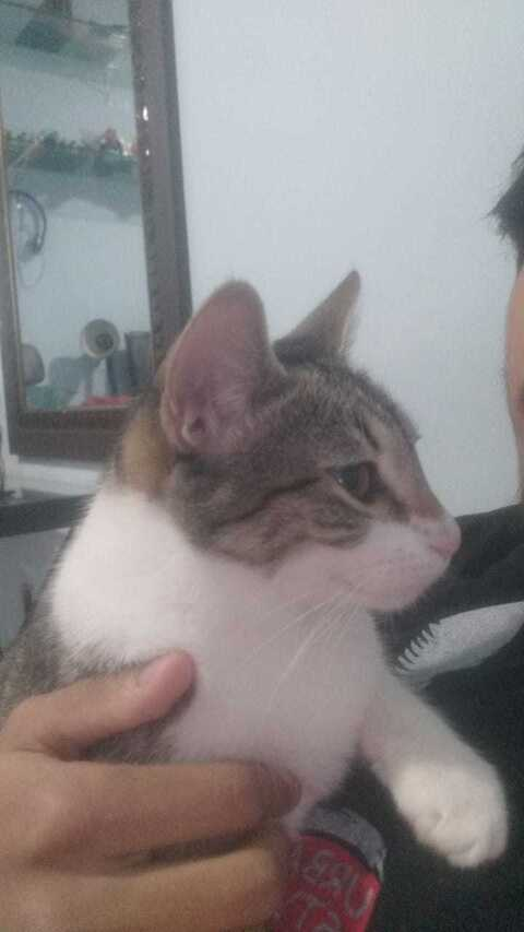 Lea @sweetlea cover picture