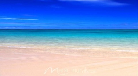 SydneY Rose @sydneyyrose cover picture