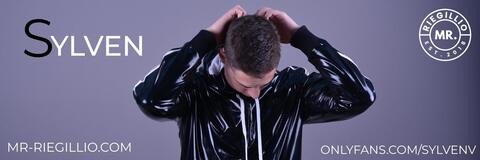 SylvenV @sylvenv cover picture