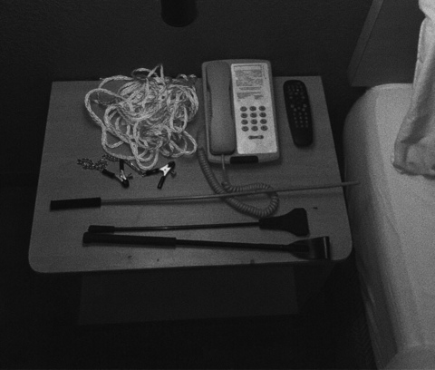 halo pdx @sympatheticlamb cover picture