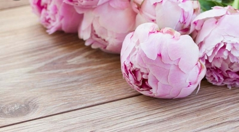 Gina @takechancesonme cover picture