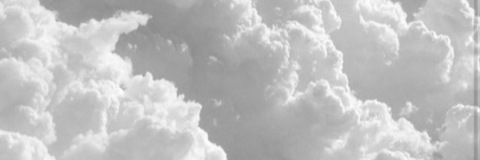 ❥ 𝐓𝐀𝐋 @talbakker cover picture