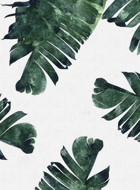 tam lancaster @tamlanc cover picture