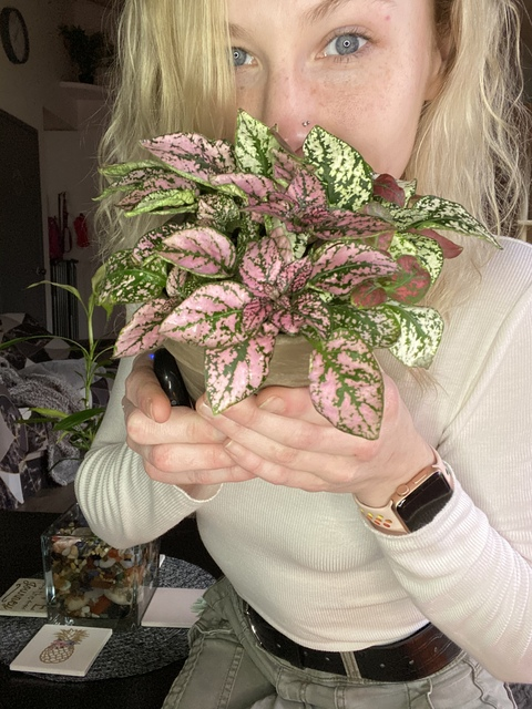 🌻Jojo🌻 @tattooedbarbie95 cover picture