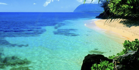 taylor;) @taylorrobinson cover picture