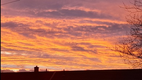 NeonTeal @tealn3on cover picture