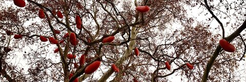 Tereza🖤 @terka cover picture