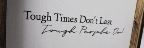 Terynn @terynnlea cover picture