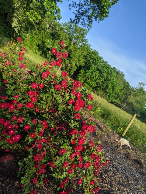 Lexi Smith @the_lexi_smith cover picture