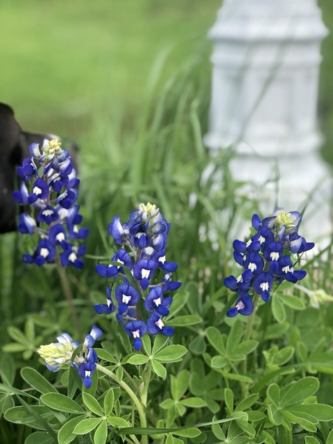 Andrew @thebeast234 cover picture