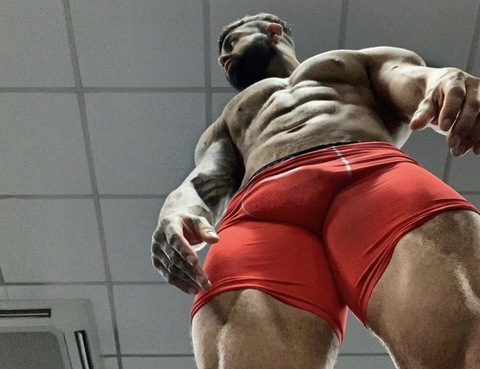 Thebeast - top 0.5% @thebritishbeastxxl cover picture