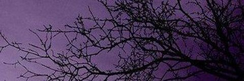 Ender || sigma era @theclikkie cover picture