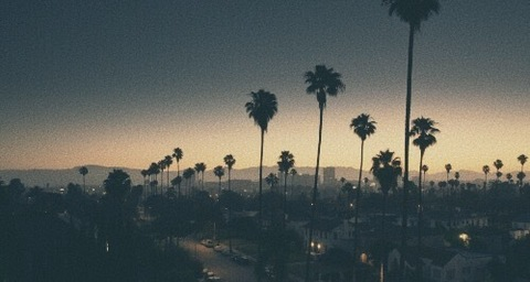 THE FACK @thefackelmayer cover picture