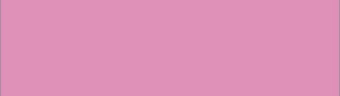 P @thepinkprincess cover picture