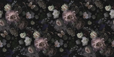 TheRedQueen @theredqueen13 cover picture