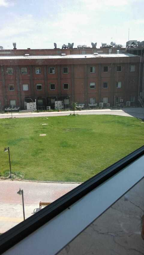 ali tuna @thesunny cover picture