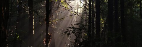 Harry's gf @thevamptramp cover picture