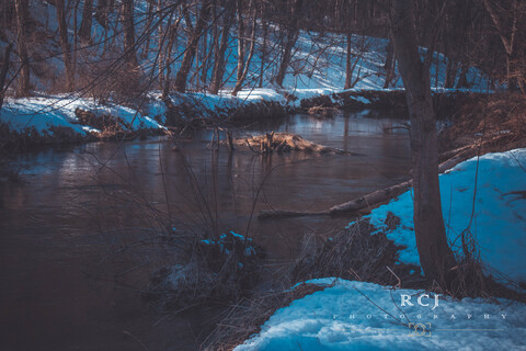 Thicc_Rich @thicc_rich cover picture