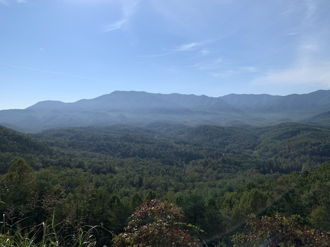 Thiccasian @thiccasian cover picture