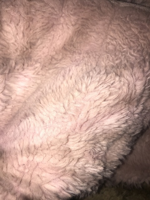 ThiccWhiteGurl @thiccwhitegurl cover picture