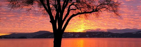 Ashley Grace @tigereyes16 cover picture