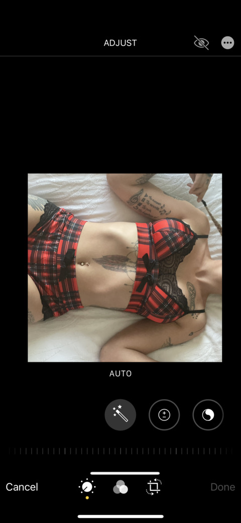 TimberVixen @timbervixen cover picture