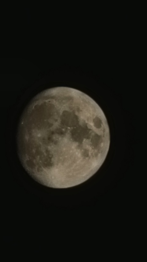 Tomislava @tomistar cover picture