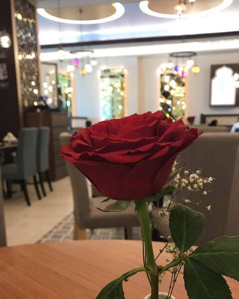 Tooti @tooti cover picture