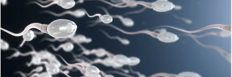 BBK TOP in PARIS @top_bbk_paris cover picture