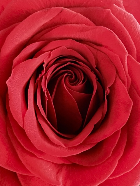 Tori Green @toriii cover picture