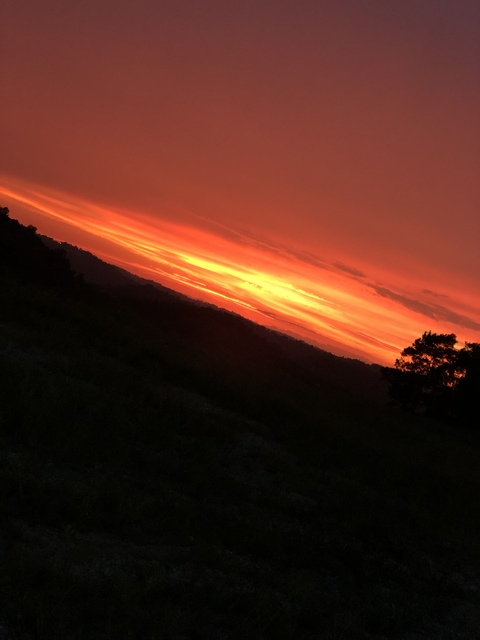 Snooz @toturnttony cover picture