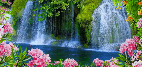 Alex @transgoddess4 cover picture