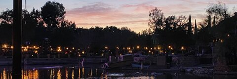 alicia @trashpuke cover picture