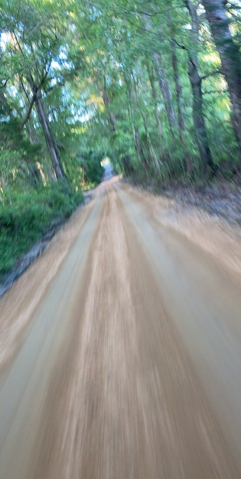 Treyce @treyce cover picture