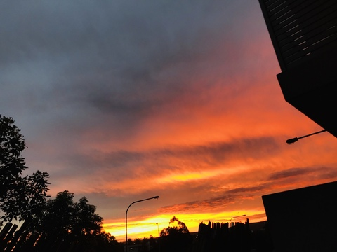 Bee 🐝 @triplebeexo cover picture