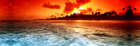 Kale @triplexkale cover picture