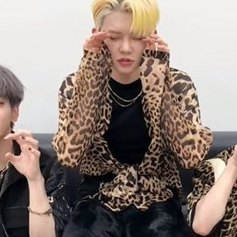 Triz Pariz @trizpariz cover picture