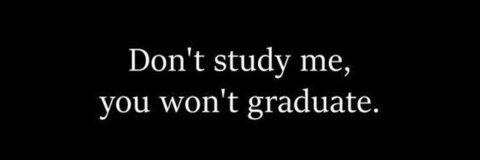 Sexy Kayla @tssexykayla cover picture