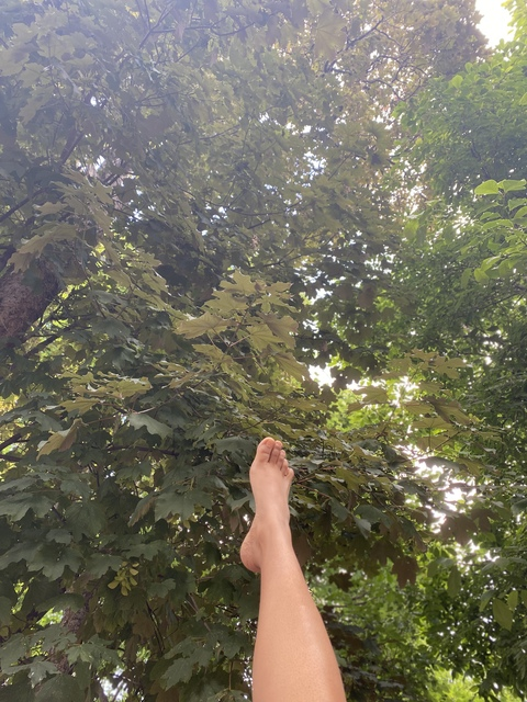 Luna @tulunatica cover picture