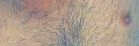 TZ @tzsleazy cover picture