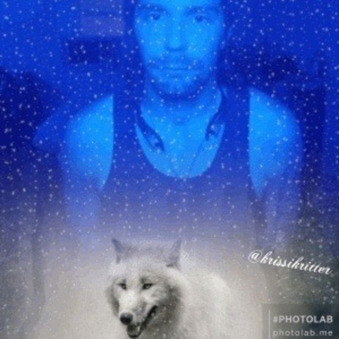 DarkAlphaWolf89 @u126383815 cover picture