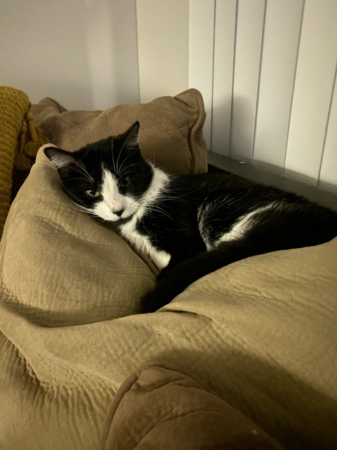 Brittany @u137130650 cover picture