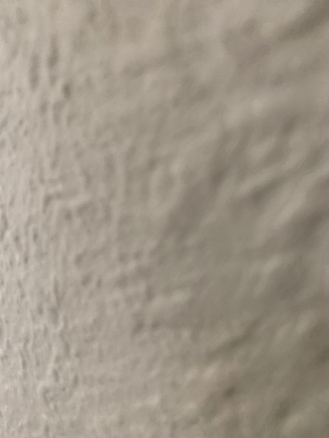 LR @u141014390 cover picture